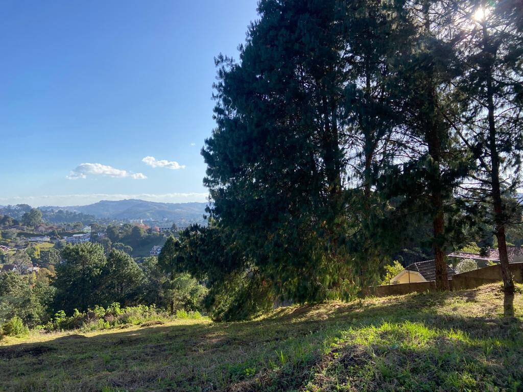 #2208 - Terreno para Venda em Campos do Jordão - SP