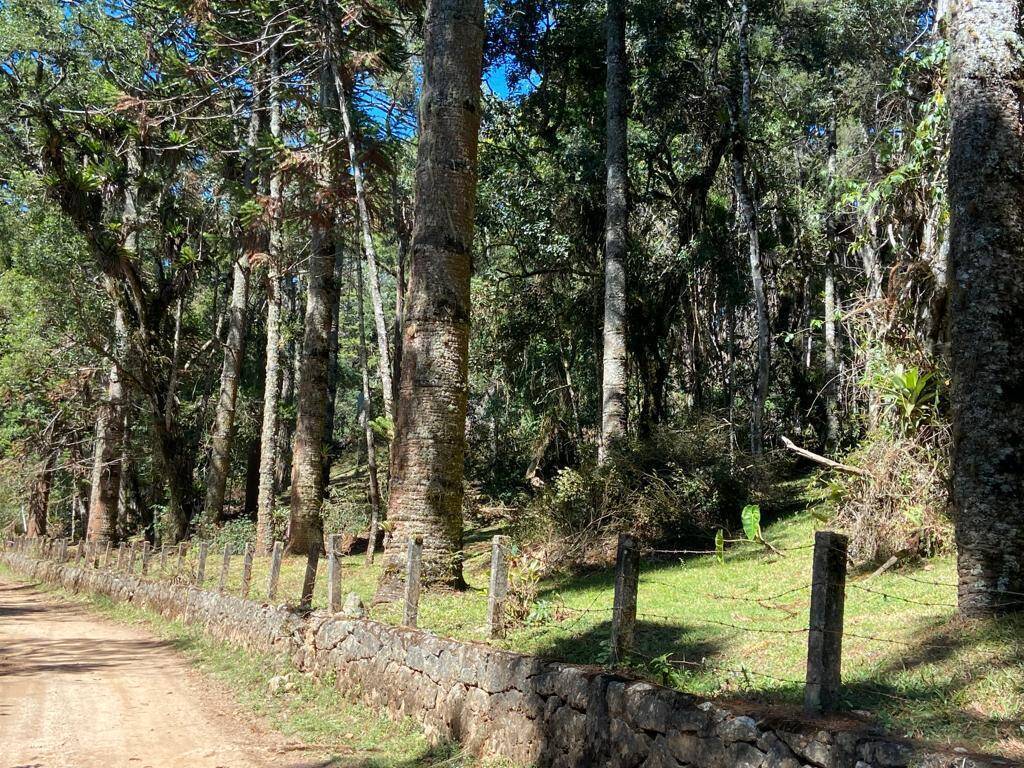 #2226 - Terreno para Venda em Campos do Jordão - SP