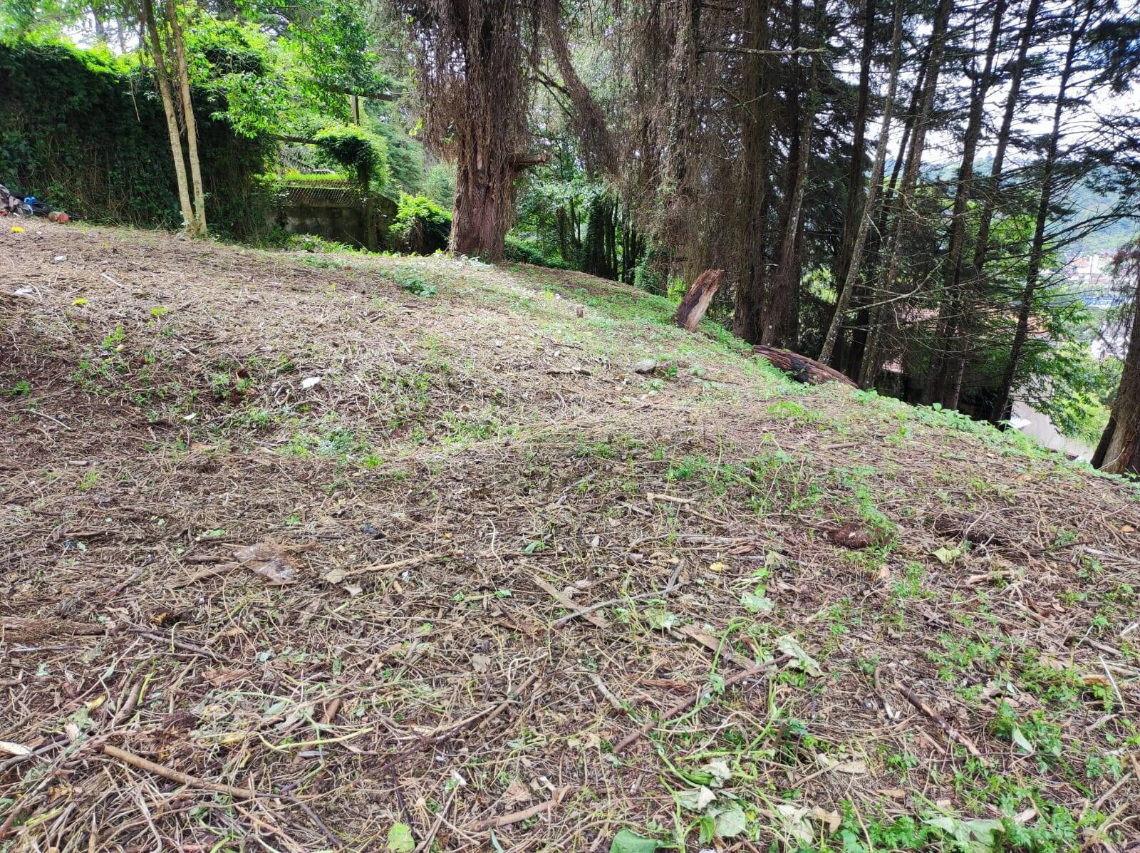 #2333 - Terreno para Venda em Campos do Jordão - SP