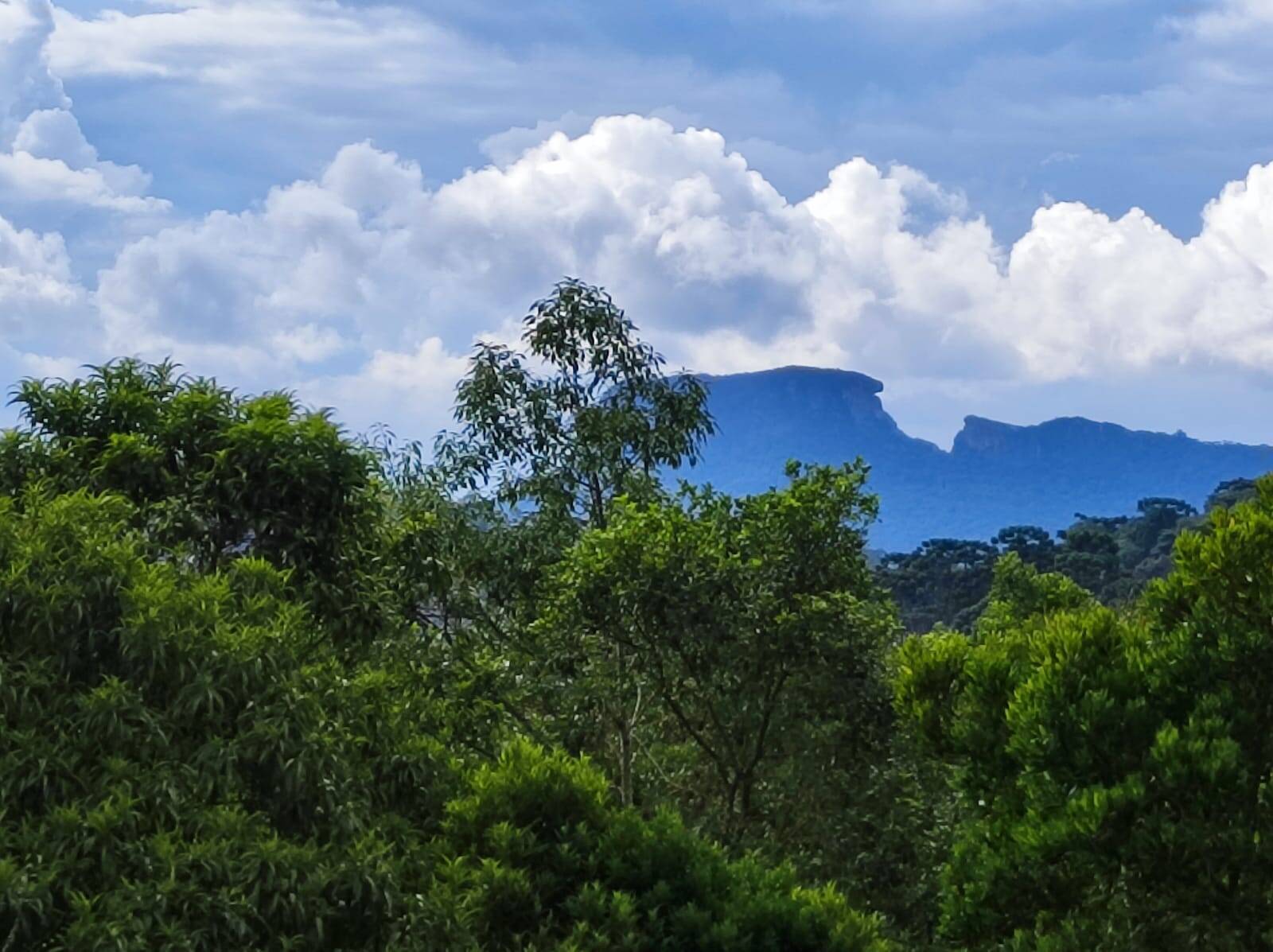 #2350 - Terreno em condomínio para Venda em Campos do Jordão - SP